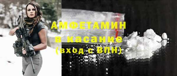молекула духа Няндома