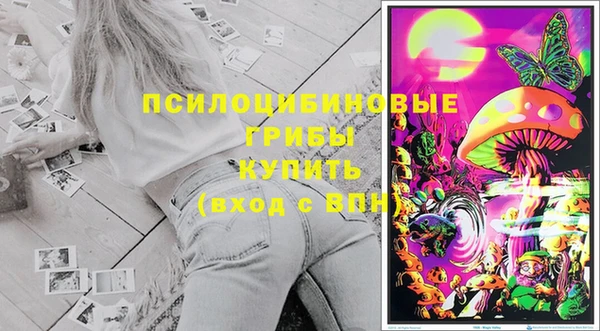 молекула духа Няндома