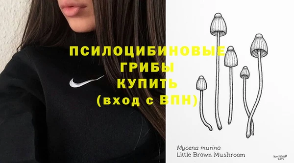 молекула духа Няндома