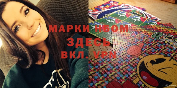 молекула духа Няндома
