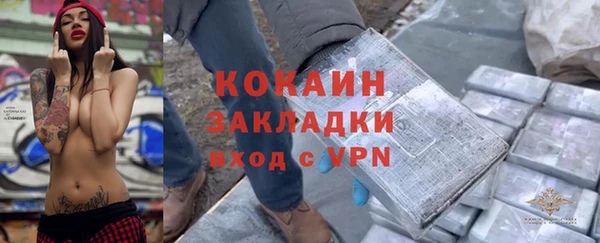 молекула духа Няндома