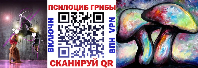 где продают   OMG ONION  Псилоцибиновые грибы Magic Shrooms  Бугуруслан 