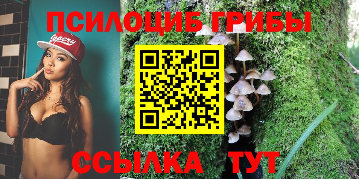 где купить   Псилоцибиновые грибы GOLDEN TEACHER  Бугуруслан  Галлюциногенные грибы ЛСД 