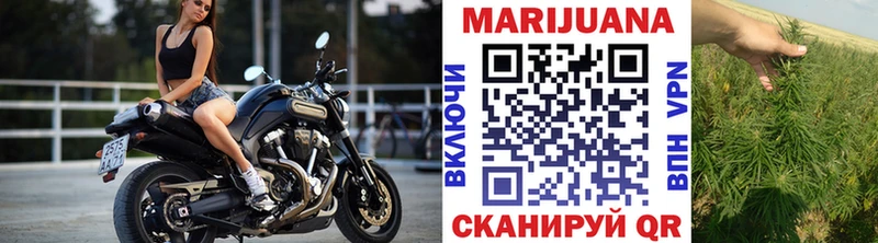 Конопля сатива Бугуруслан